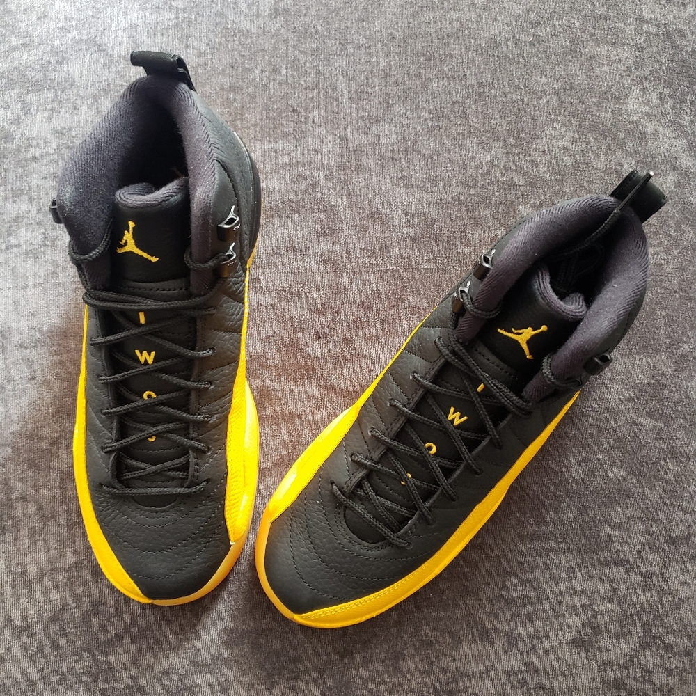 Air Jordan 12